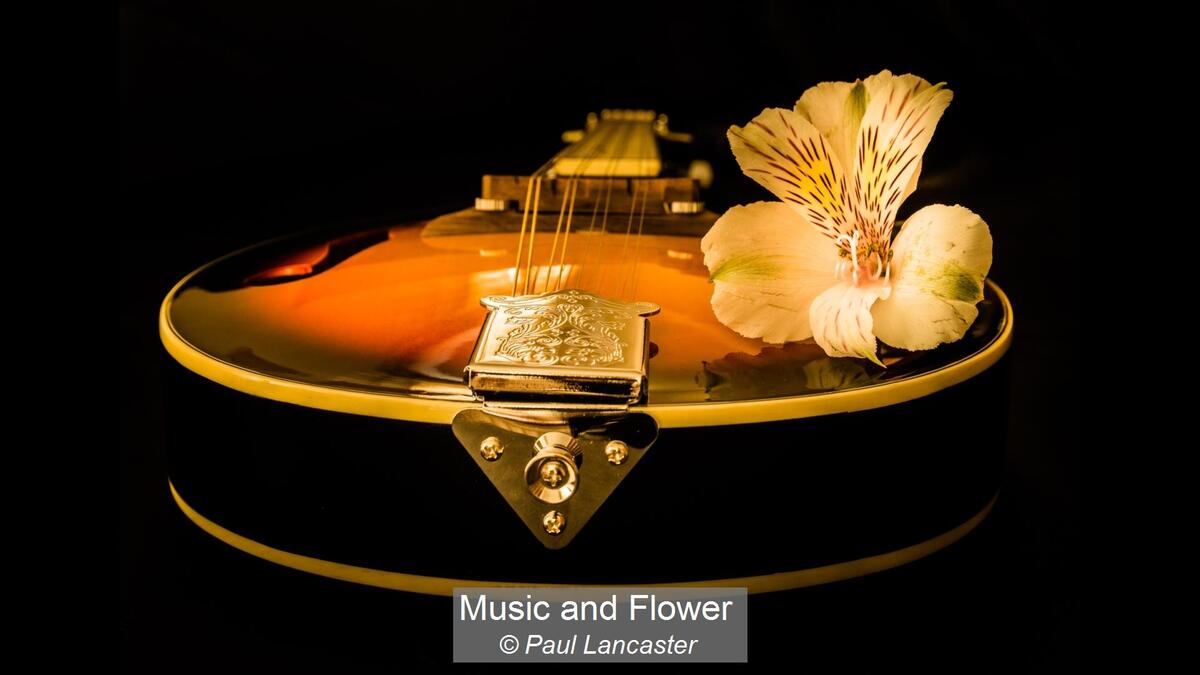 Music and Flower